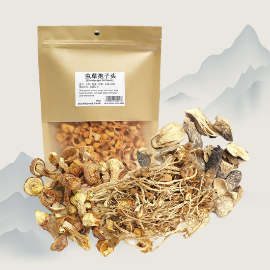 Fungi_Mushroom_collection