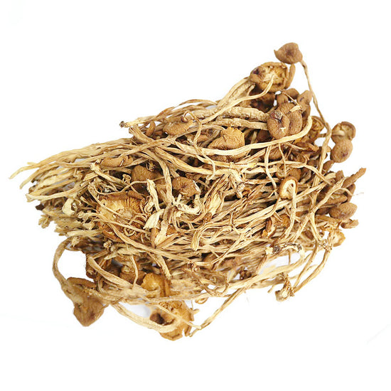 Tea Tree Mushroom Cha Shu Gu