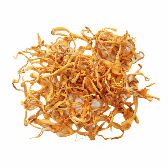 Cordyceps Militaris Chong Cao Hua