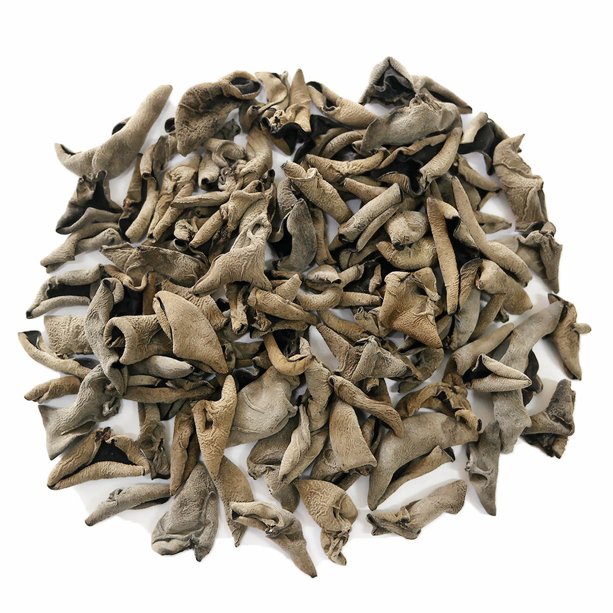 Black Fungus