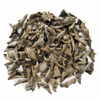 Black Fungus