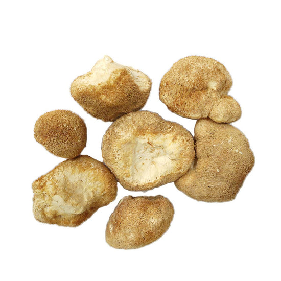 Monkey Head Mushroom