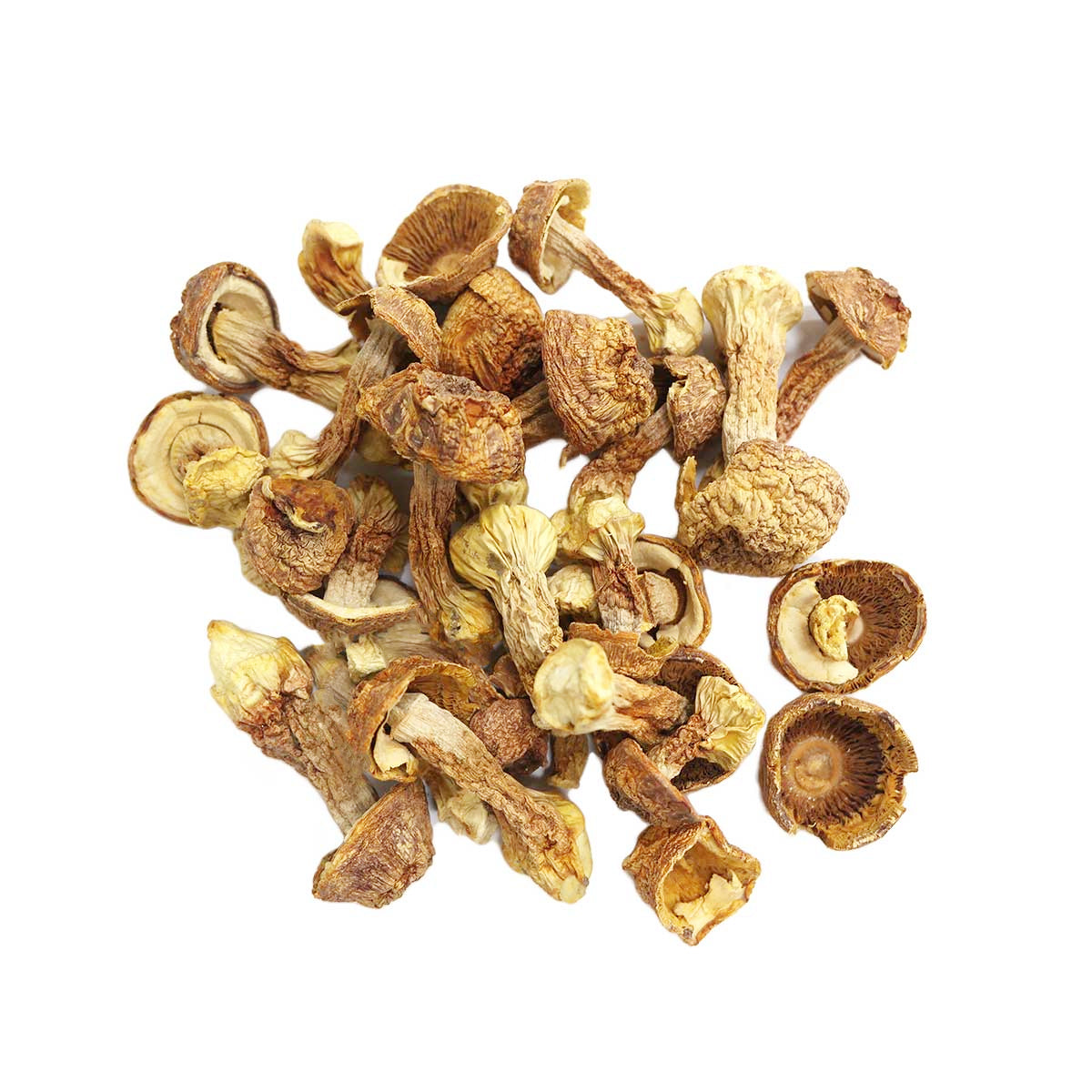 Song Rong Mushroom – San Teck Soon