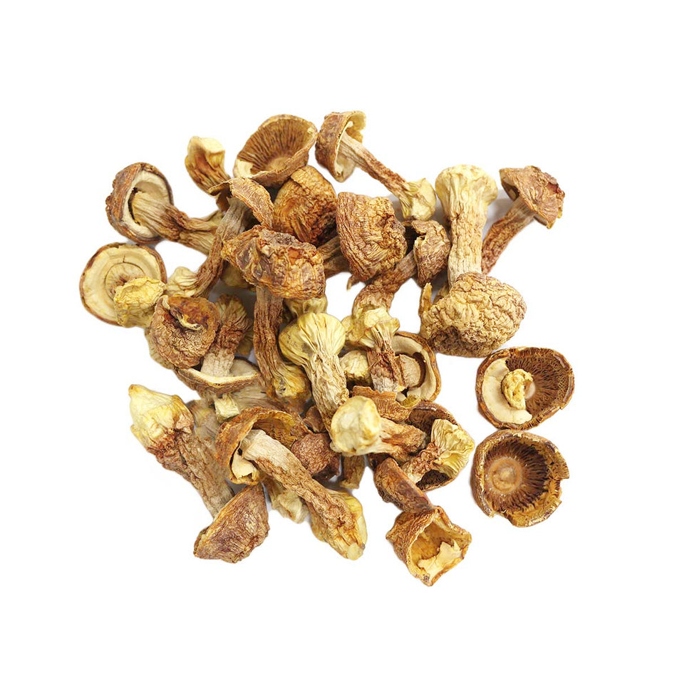 Song Rong Song Rong Mushroom – San Teck Soon