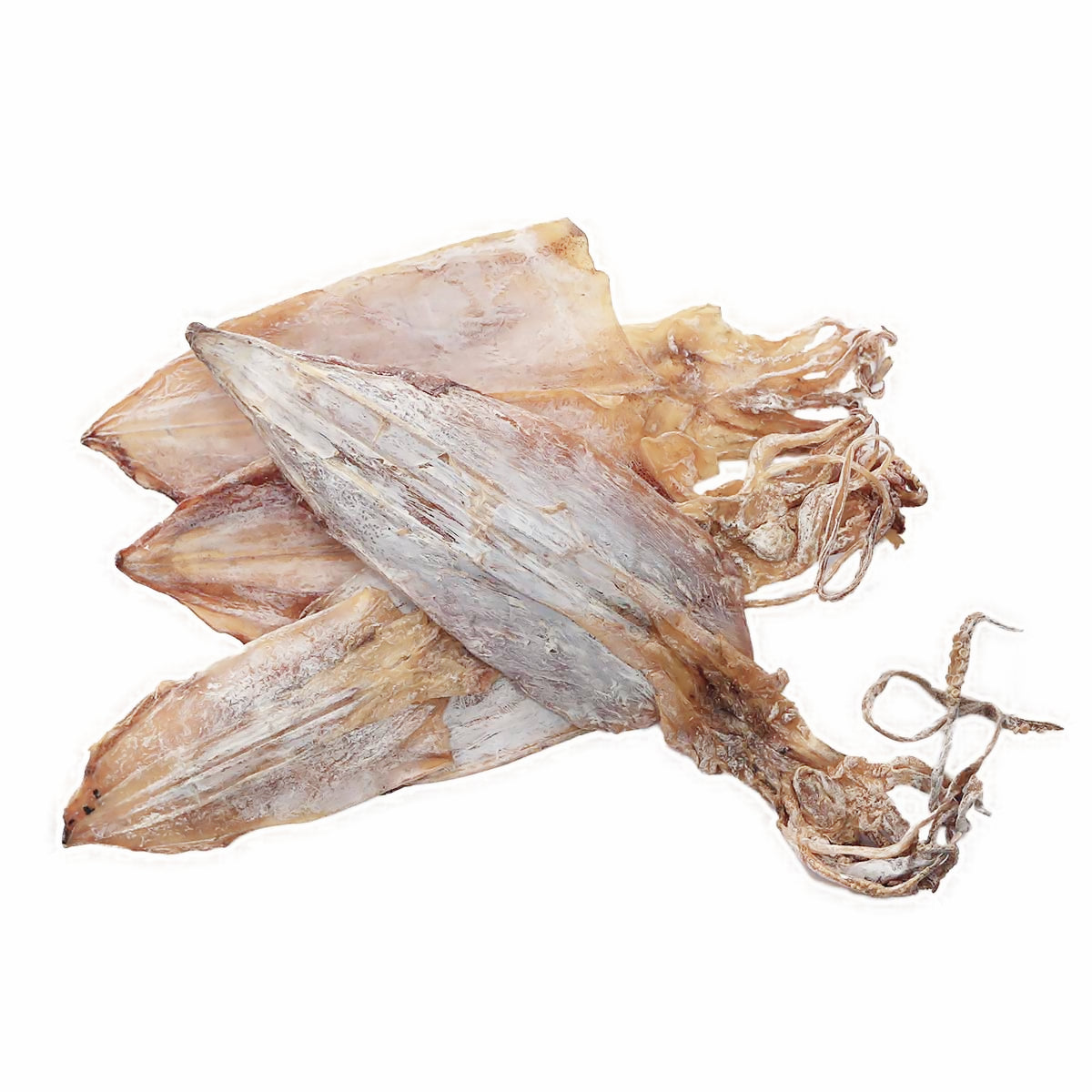 Dried Cuttlefish