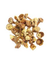 Song Rong Mushroom
